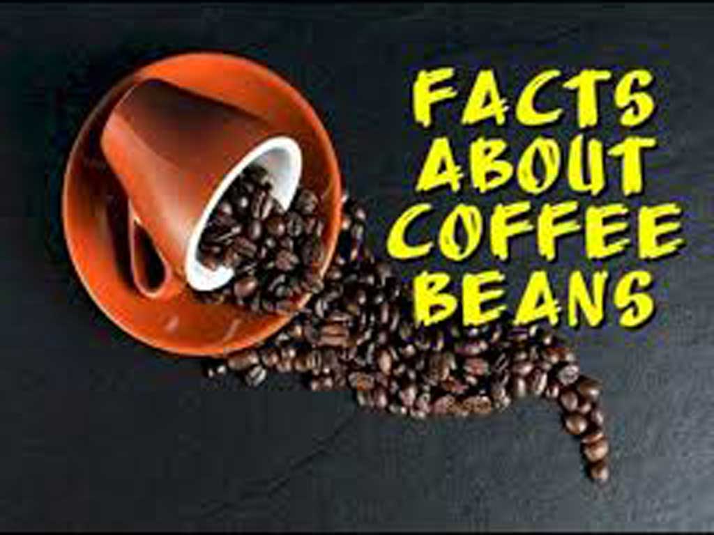 5 facts about coffee beans