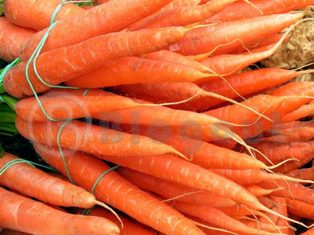 types of Orange Colour Carrots