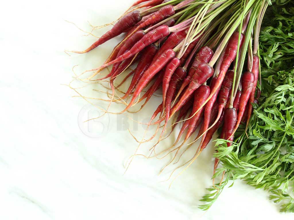 Purple Colour Carrots