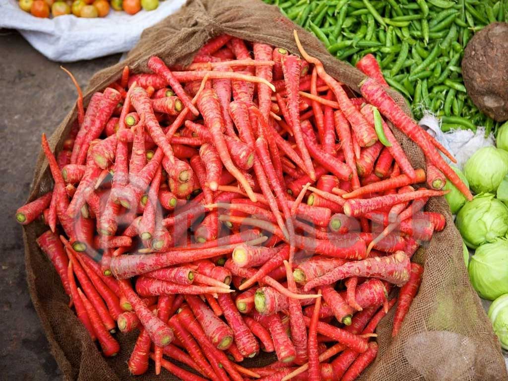 Red Colour Carrots