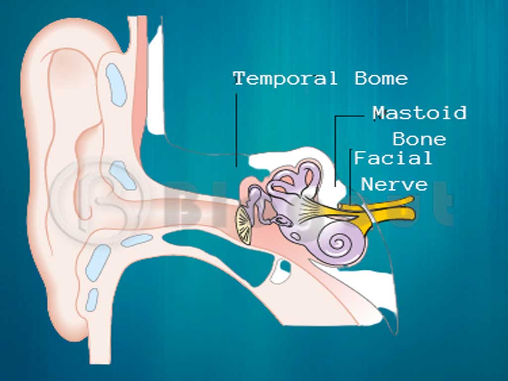 Ear Cancer hazardous disease