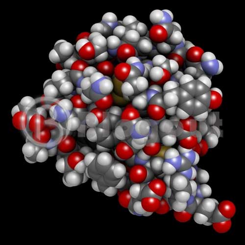 Glycogon