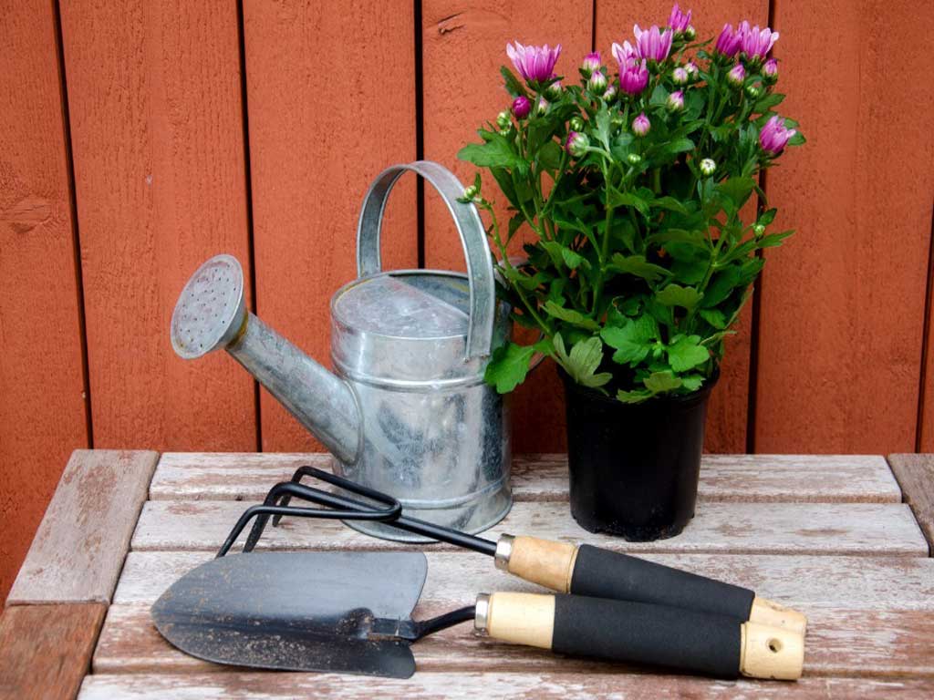 Rain Gauge Gardening Tool