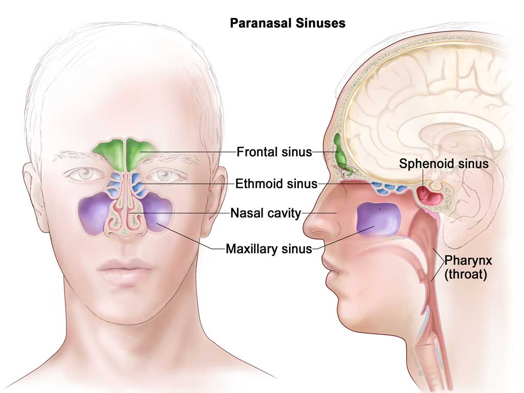 Nasal Cancer